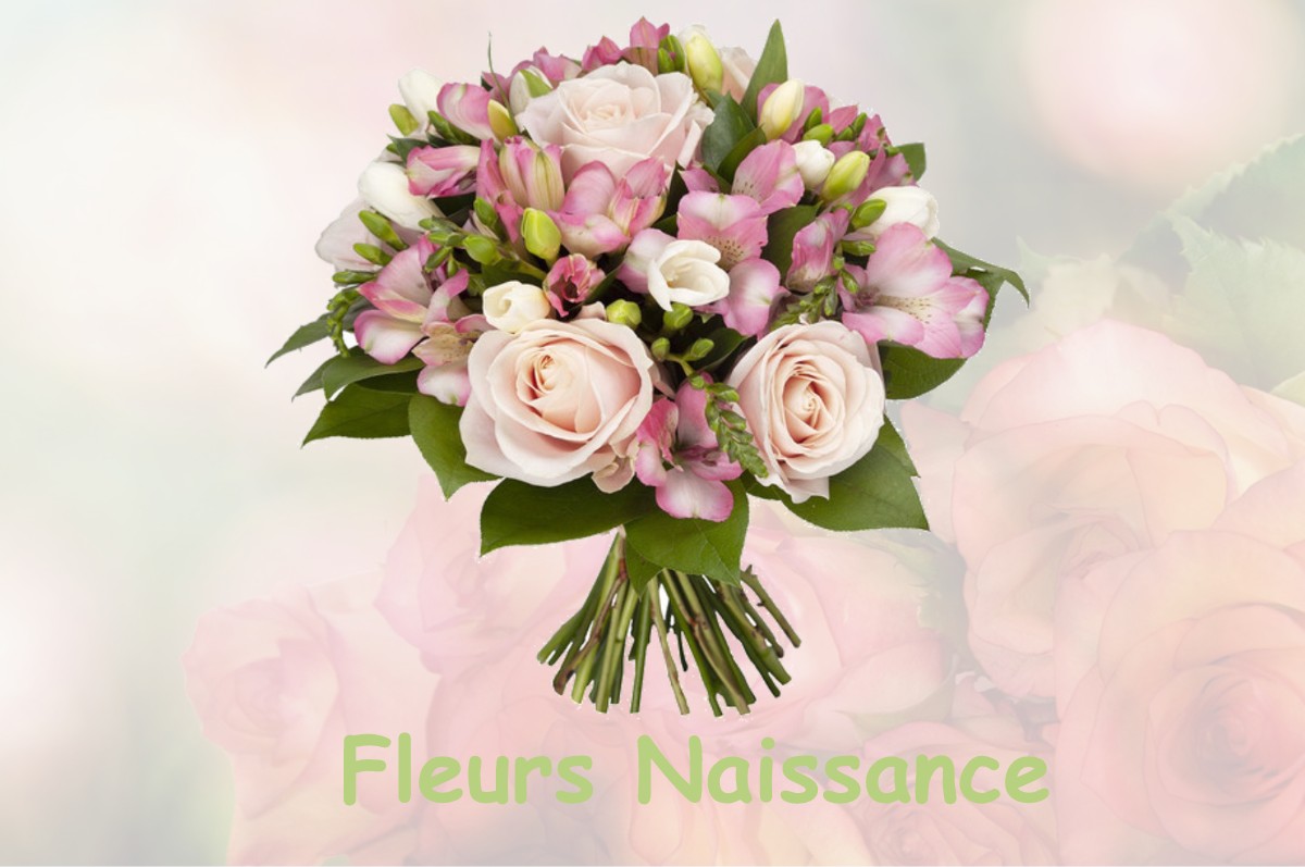 fleurs naissance MONTBRUN-BOCAGE