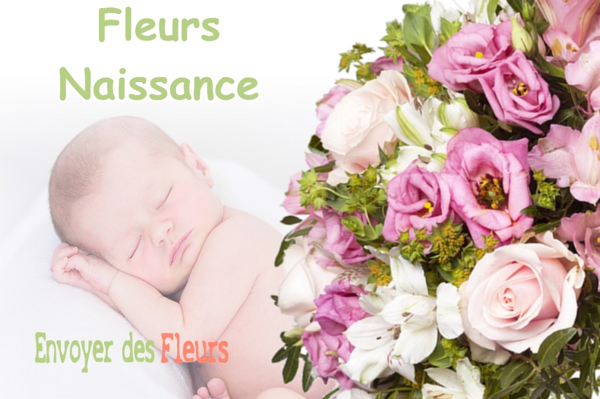 lIVRAISON FLEURS NAISSANCE à MONTBRUN-BOCAGE